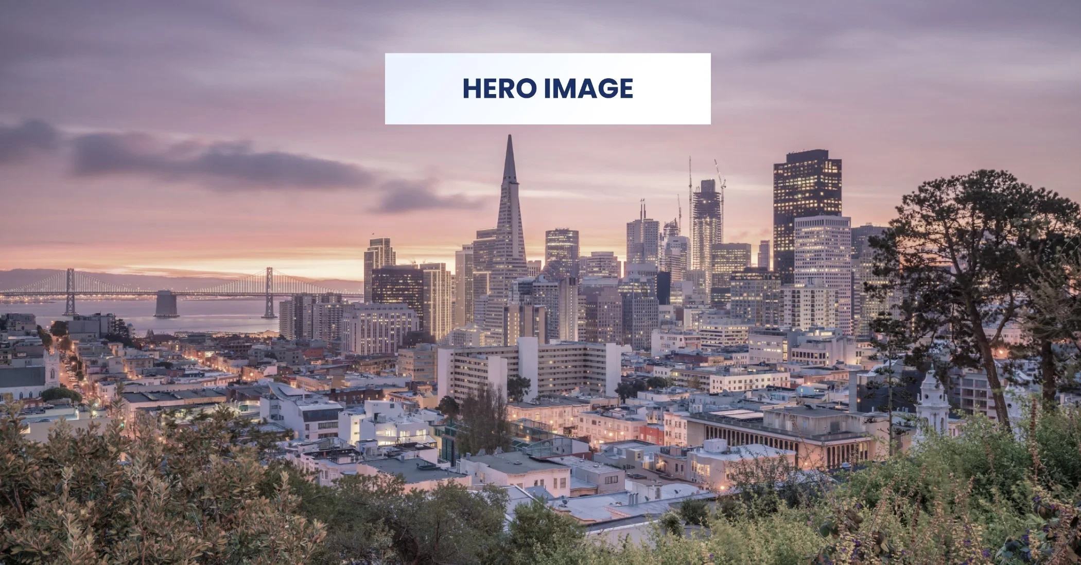 655b90d63ba97083a8ee081d_Frame-50hero-image